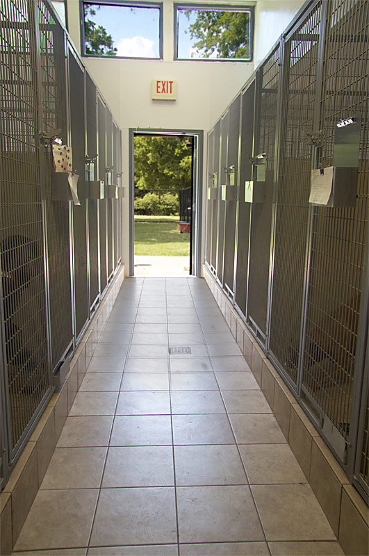 Animal Hospital of Rowlett Veterinary Clinic in Rowlett, Texas Rowlett Dog Boarding, Cat